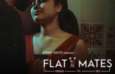 Flat mates Hindi  PrimeShots